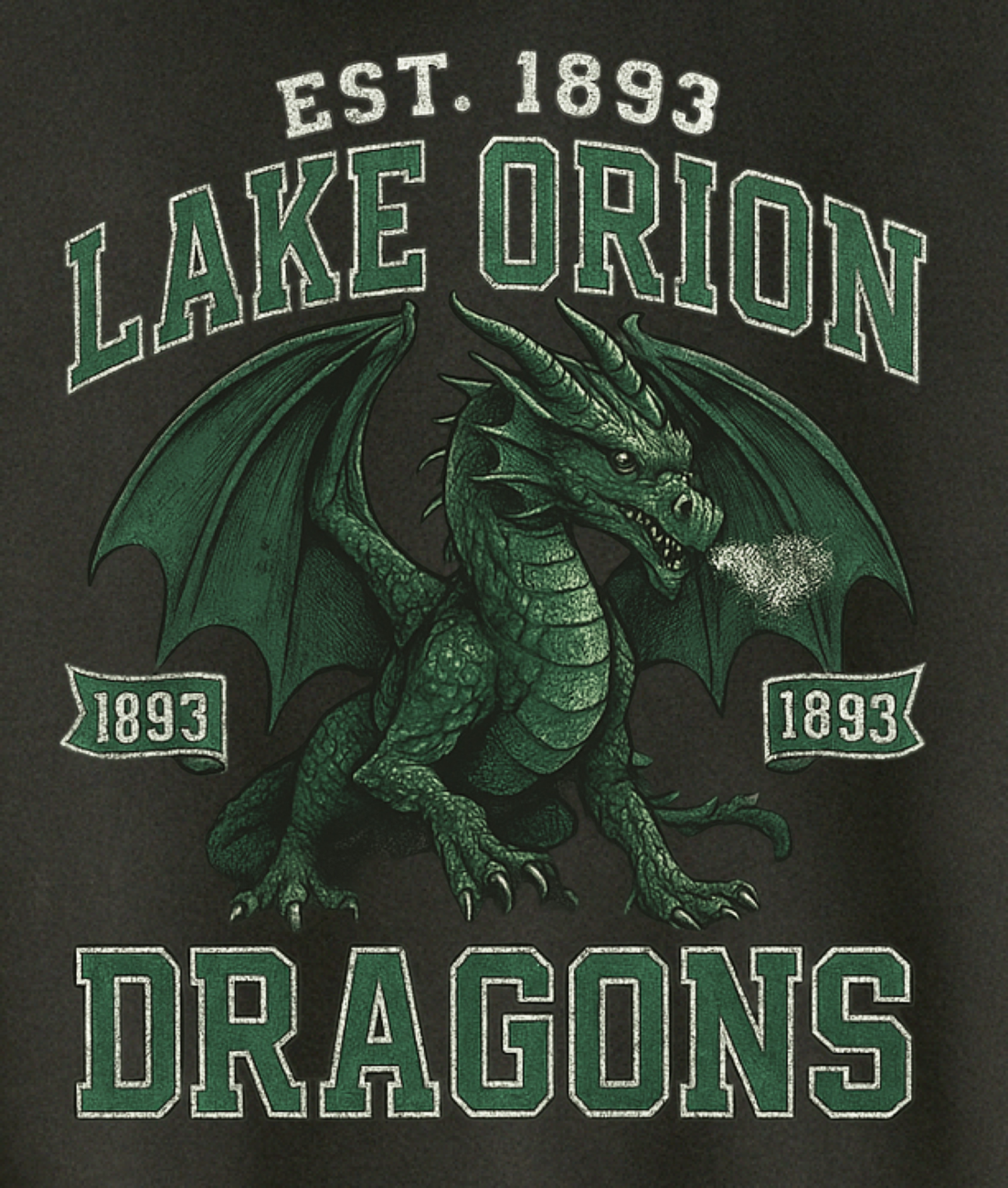 Vintage LO | 1893 Hoodie